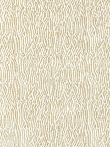 Scalamandre Faux Bois Velvet Fog Fabric
