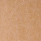 Kravet RANDWICK BUCKSKIN Upholstery Fabric