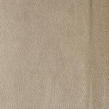 Kravet RUMORS MICA Upholstery Fabric