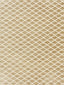 Scalamandre Tristan Weave Latte Fabric