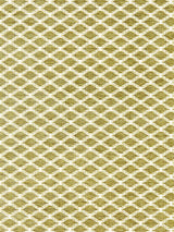 Scalamandre Tristan Weave Fern Fabric