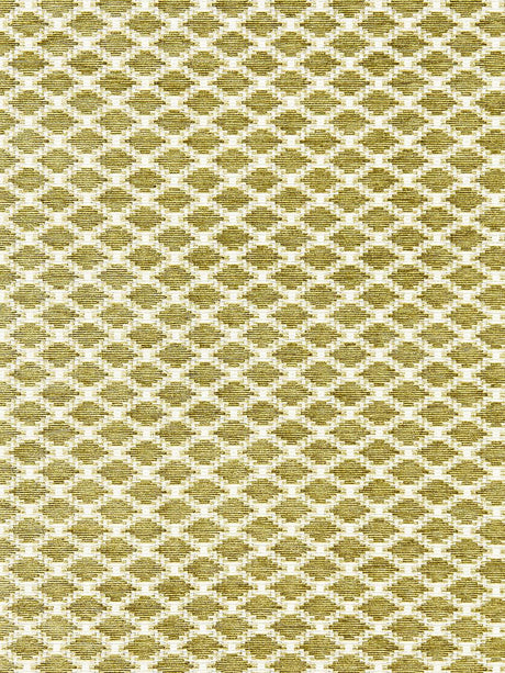 Scalamandre Tristan Weave Fern Fabric