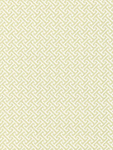 Scalamandre Mandarin Weave Celadon Fabric