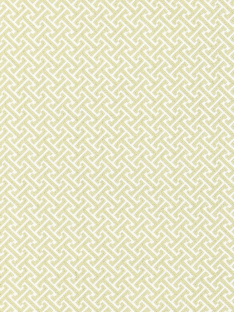 Scalamandre Mandarin Weave Celadon Fabric
