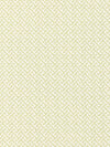 Scalamandre Mandarin Weave Celadon Fabric