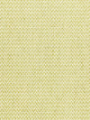 Scalamandre Cortona Chenille Fern Upholstery Fabric