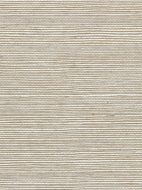 Scalamandre Sisal Greige Wallpaper
