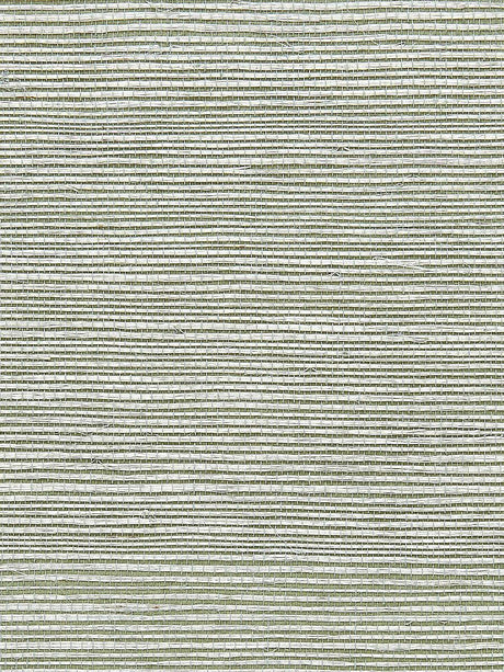 Scalamandre Sisal Pale Jade Wallpaper