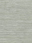 Scalamandre Sisal Celestial Wallpaper