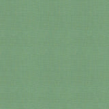 Kravet SOLEIL CANVAS SPA Upholstery Fabric