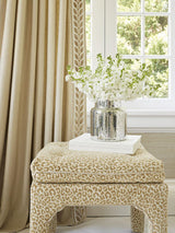 Scalamandre Vigne Velvet Tape Vert Trim