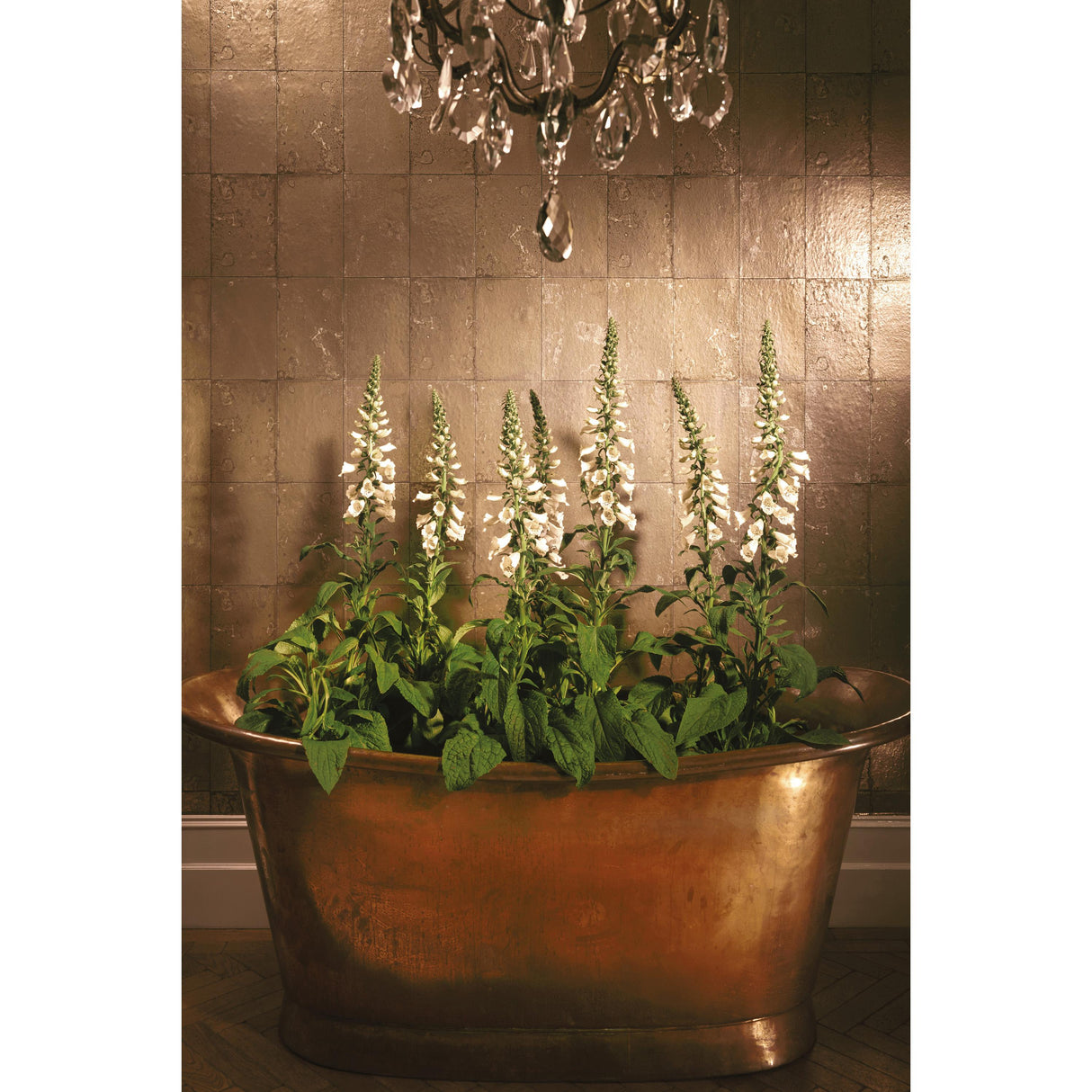 Cole & Son ANTIQUE MIRROR ANTIQUE GOLD Wallpaper