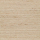 Schumacher Tussah Oatmeal Fabric