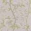 G P & J Baker PEONY & BLOSSOM IVORY/WILLOW Wallpaper