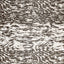 Schumacher Serengeti Silk Black & White Fabric