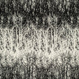 Schumacher Birches Black Fabric