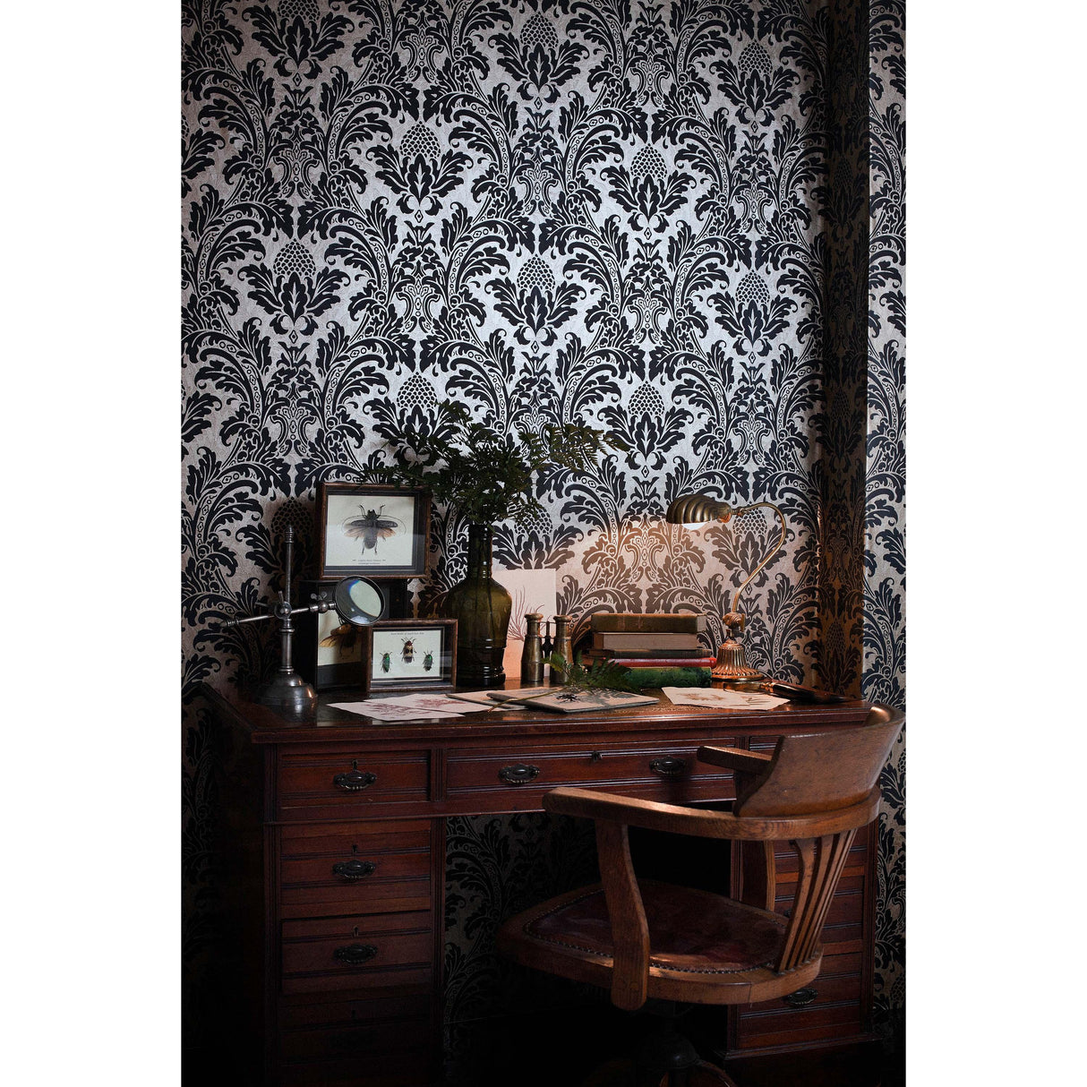 Cole & Son BLAKE BLACK AND GOLD Wallpaper