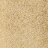Schumacher Kyousha Silk Champagne Fabric
