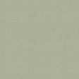 Schumacher Indochine Stone Fabric