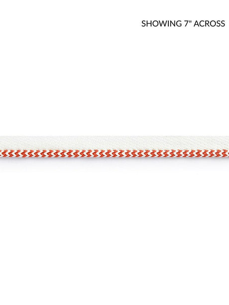 Scalamandre Zig Zag Cord Coral Trim