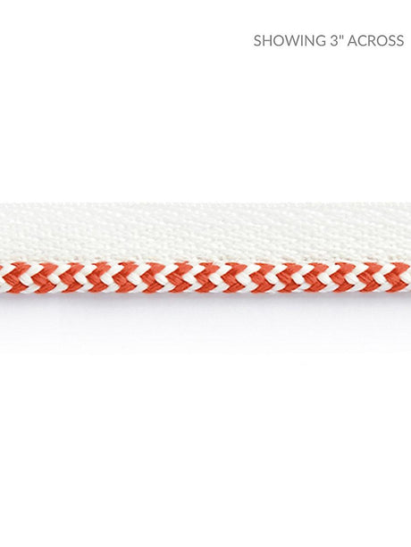 Scalamandre Zig Zag Cord Coral Trim