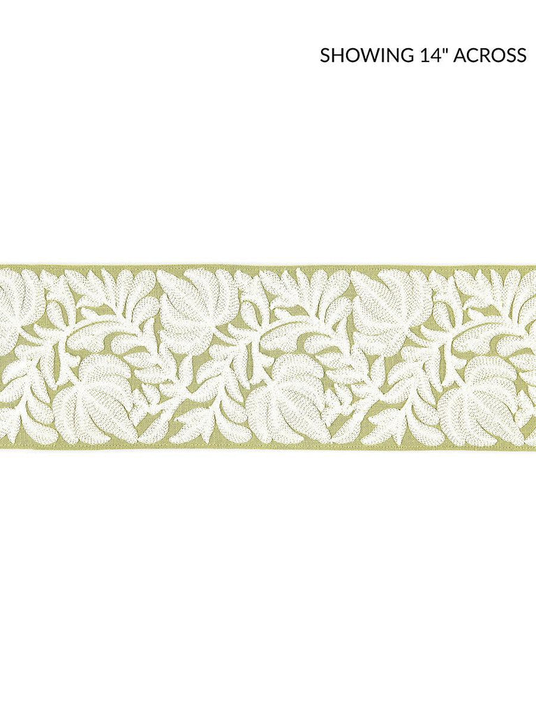 Scalamandre COVENTRY EMBROIDERED TAPE CELERY Trim