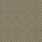 Kasmir Sapelo Tea Fabric