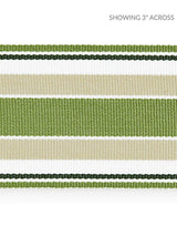 Scalamandre Marina Stripe Tape Palm Trim