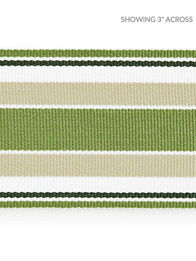 Scalamandre Marina Stripe Tape Palm Trim