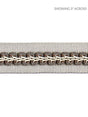 Scalamandre Cecile Gimp Tape French Grey Trim