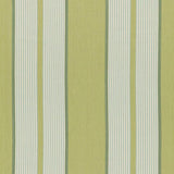 Schumacher Summerside Stripe Pear Fabric