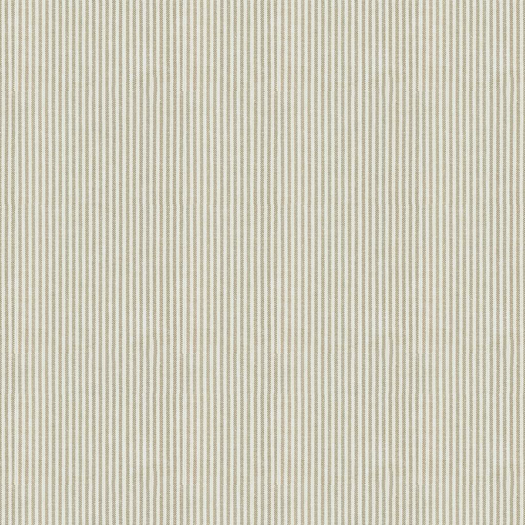 Lee Jofa CAPTIVA TICKING DOVE GREY Fabric