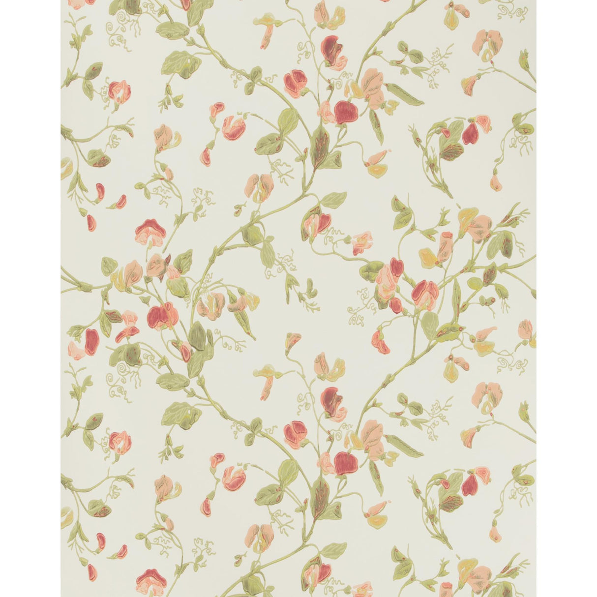 Cole & Son SWEET PEA PINK Wallpaper