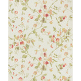 Cole & Son SWEET PEA PINK Wallpaper