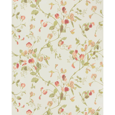 Cole & Son SWEET PEA PINK Wallpaper