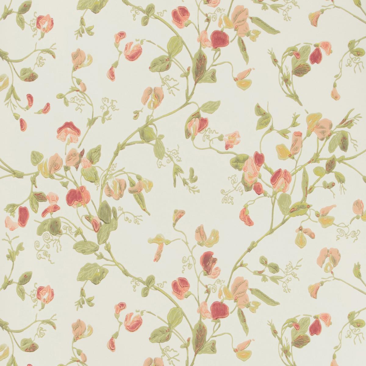 Cole & Son SWEET PEA PINK Wallpaper