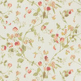 Cole & Son SWEET PEA PINK Wallpaper