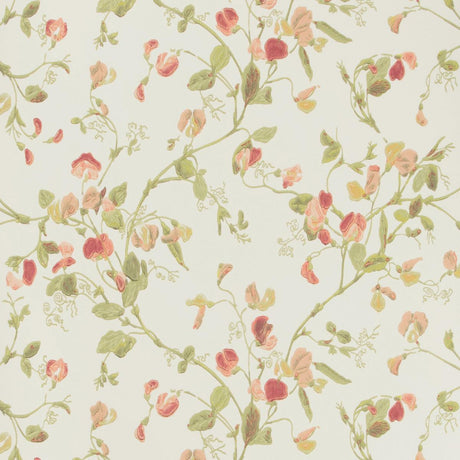 Cole & Son SWEET PEA PINK Wallpaper
