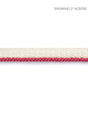 Scalamandre Tortola Twisted Cord Hibiscus Trim