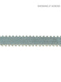 Scalamandre Lancaster Gimp Aqua Trim