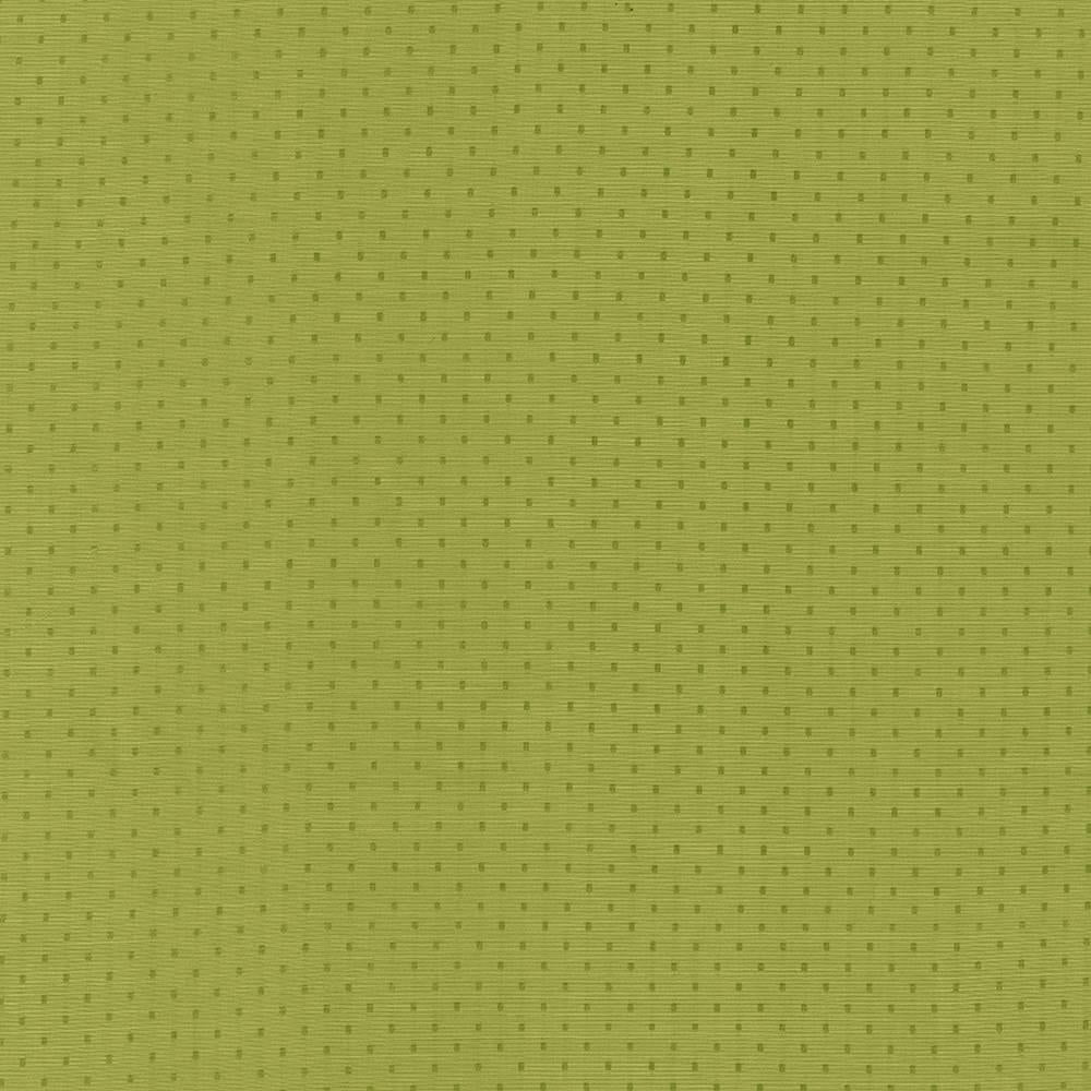 Kasmir Scruple Lime Fabric