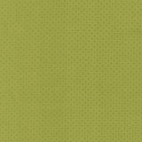 Kasmir Scruple Lime Fabric
