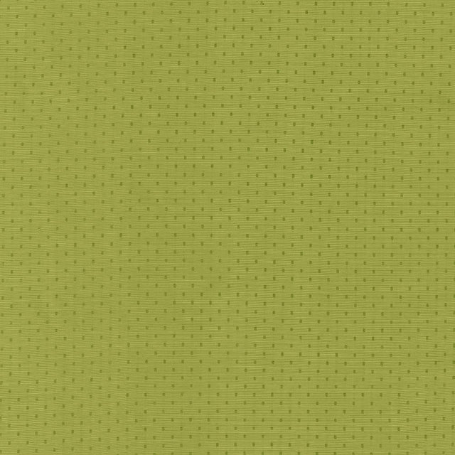 Kasmir Scruple Lime Fabric
