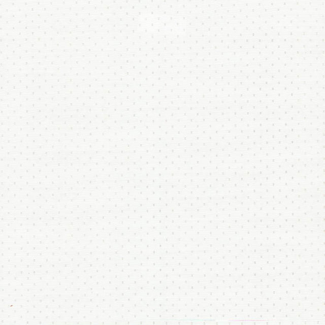 Kasmir Scruple White Fabric