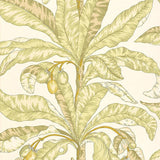 Schumacher Blair House Palm Kiwi Wallpaper