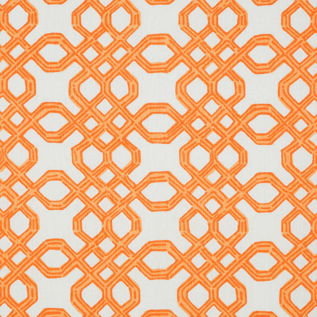 Lee Jofa Well Connected Clementine Fabric