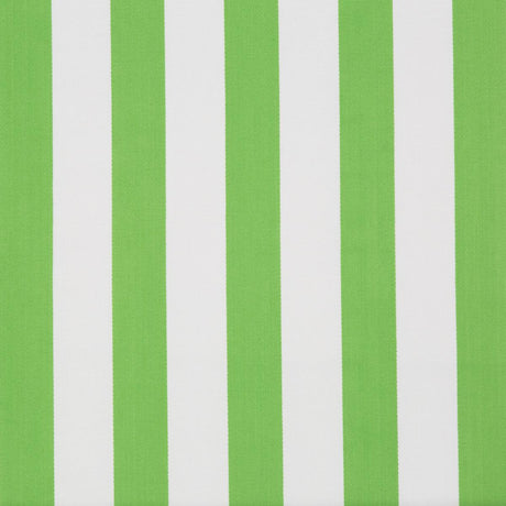 Lee Jofa Surf Stripe Palm Green Fabric