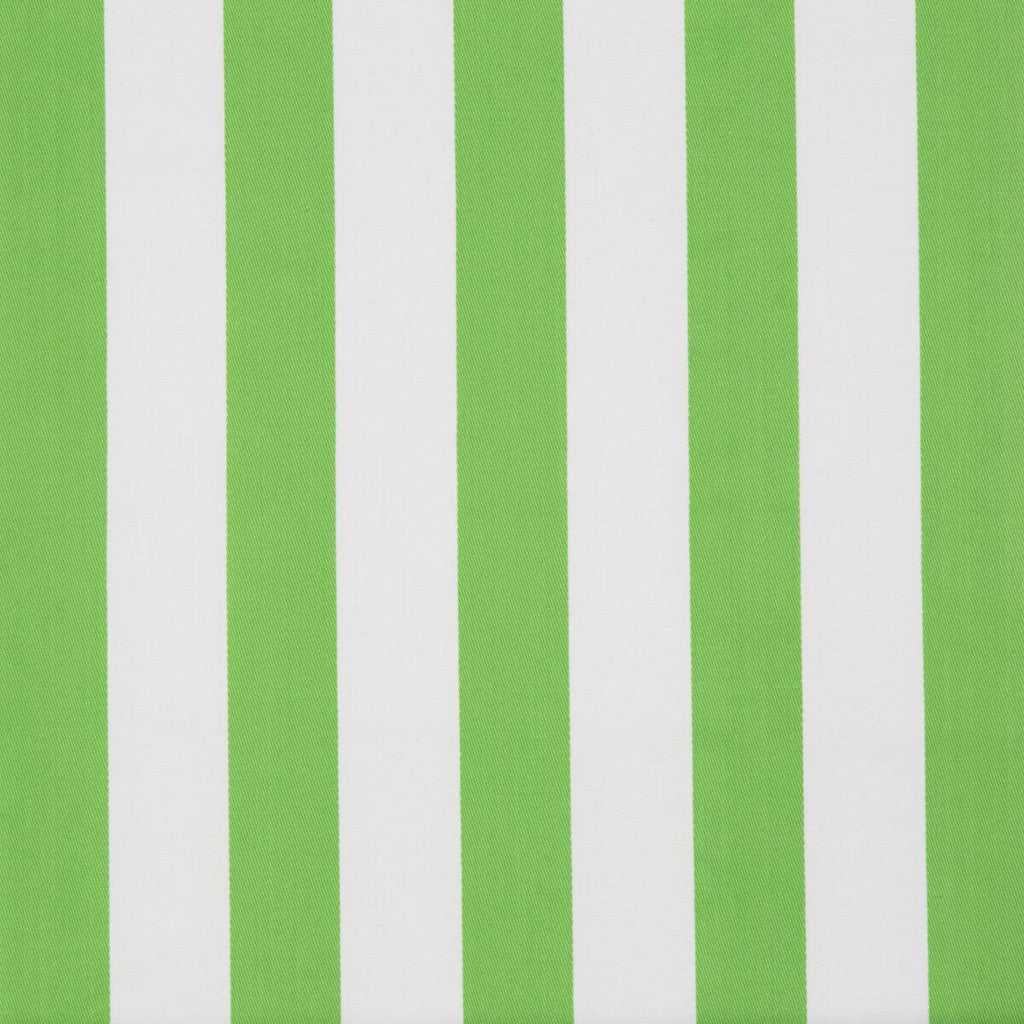 Lee Jofa Surf Stripe Palm Green Fabric