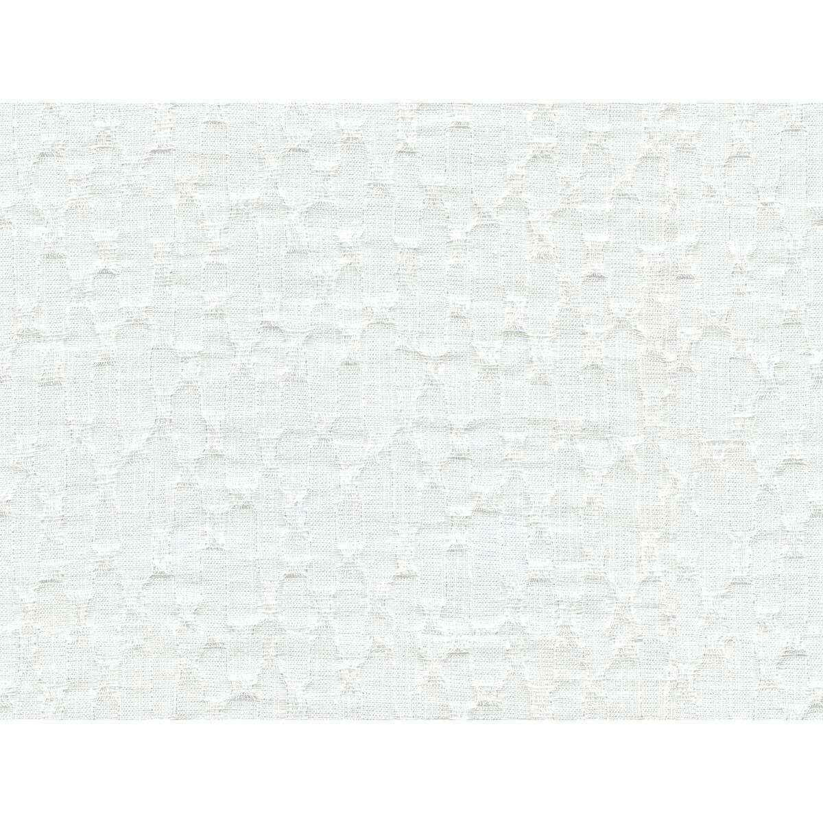 Kravet 4530 101 Fabric