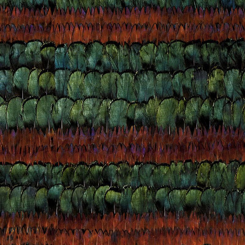 Schumacher Grand Isle Peacock & Pheasant Wallpaper